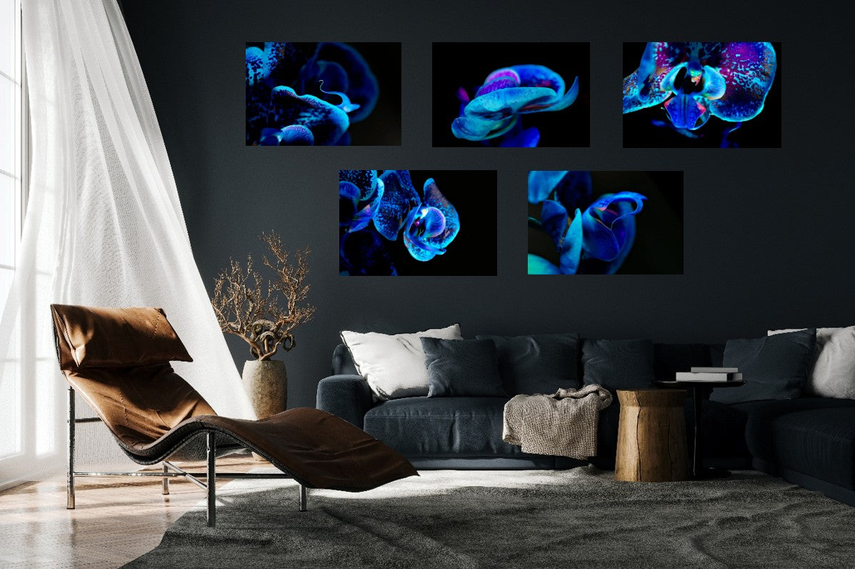 Morpho Flower