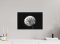 45 x 30 cm, Foto-Leinwand aus hochwertigem Textil, 40mm Ice Crystal Ball Flower