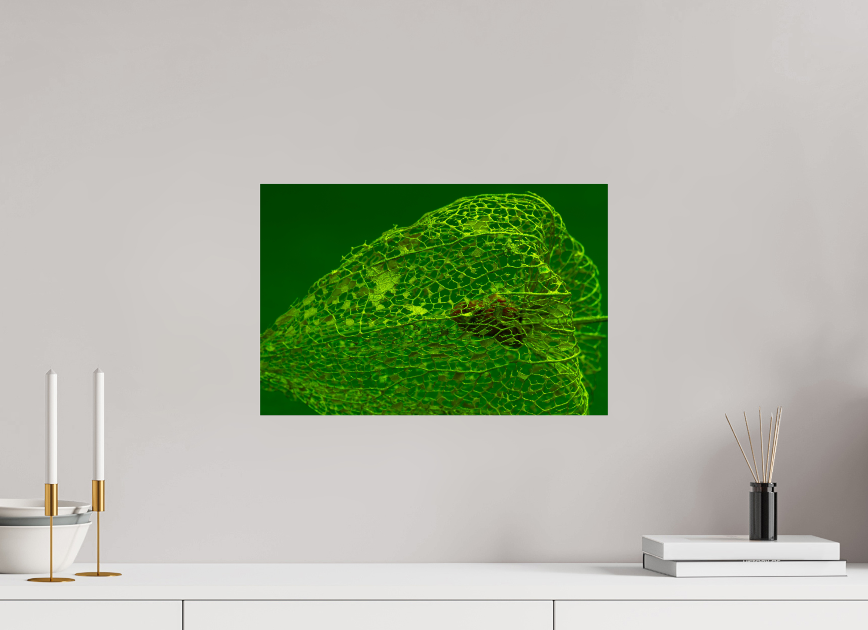 45 x 30 cm, Acrylglas, glänzend, 2 mm, Dibond 3 mm, mit Aufhängung Herz der Physalis Grün