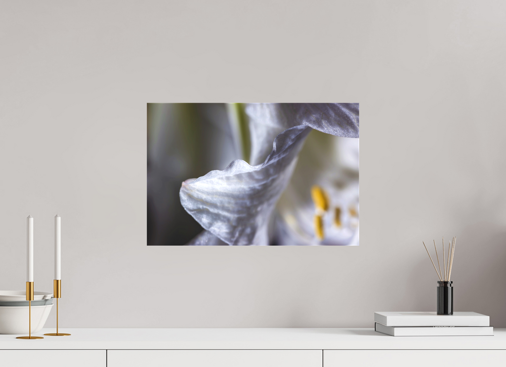 45 x 30 cm, Foto-Leinwand aus hochwertigem Textil, 40mm Diamond Flower