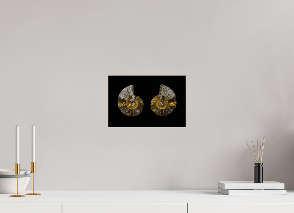 30 x 20 cm, Druck auf Hahnemühle FineArt Baryta Papier ohne Rahmen Fossil Memory - Fine Art