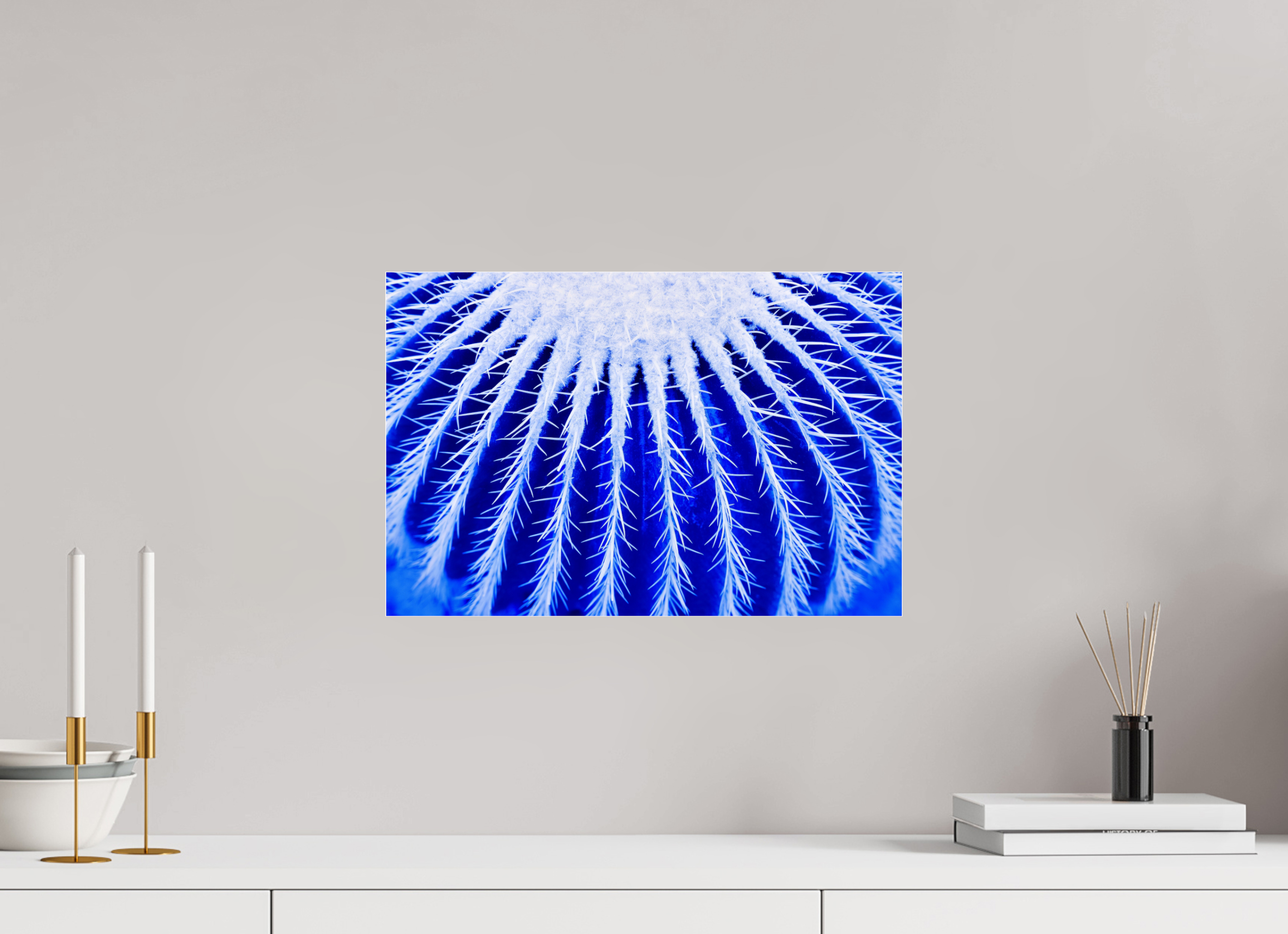45 x 30 cm, Acrylglas, glänzend, 2 mm, Dibond 3 mm, mit Aufhängung Ice Kaktus