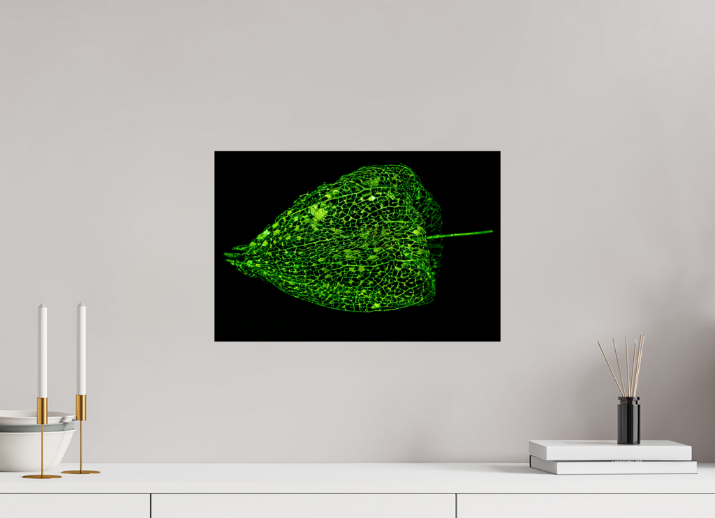 45 x 30 cm, Acrylglas, glänzend, 2 mm, Dibond 3 mm, mit Aufhängung Grünes Farbleuchten