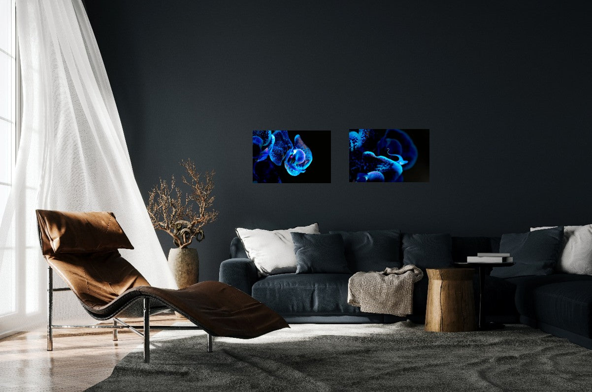 Lapislazuli Chameleon - Fine Art