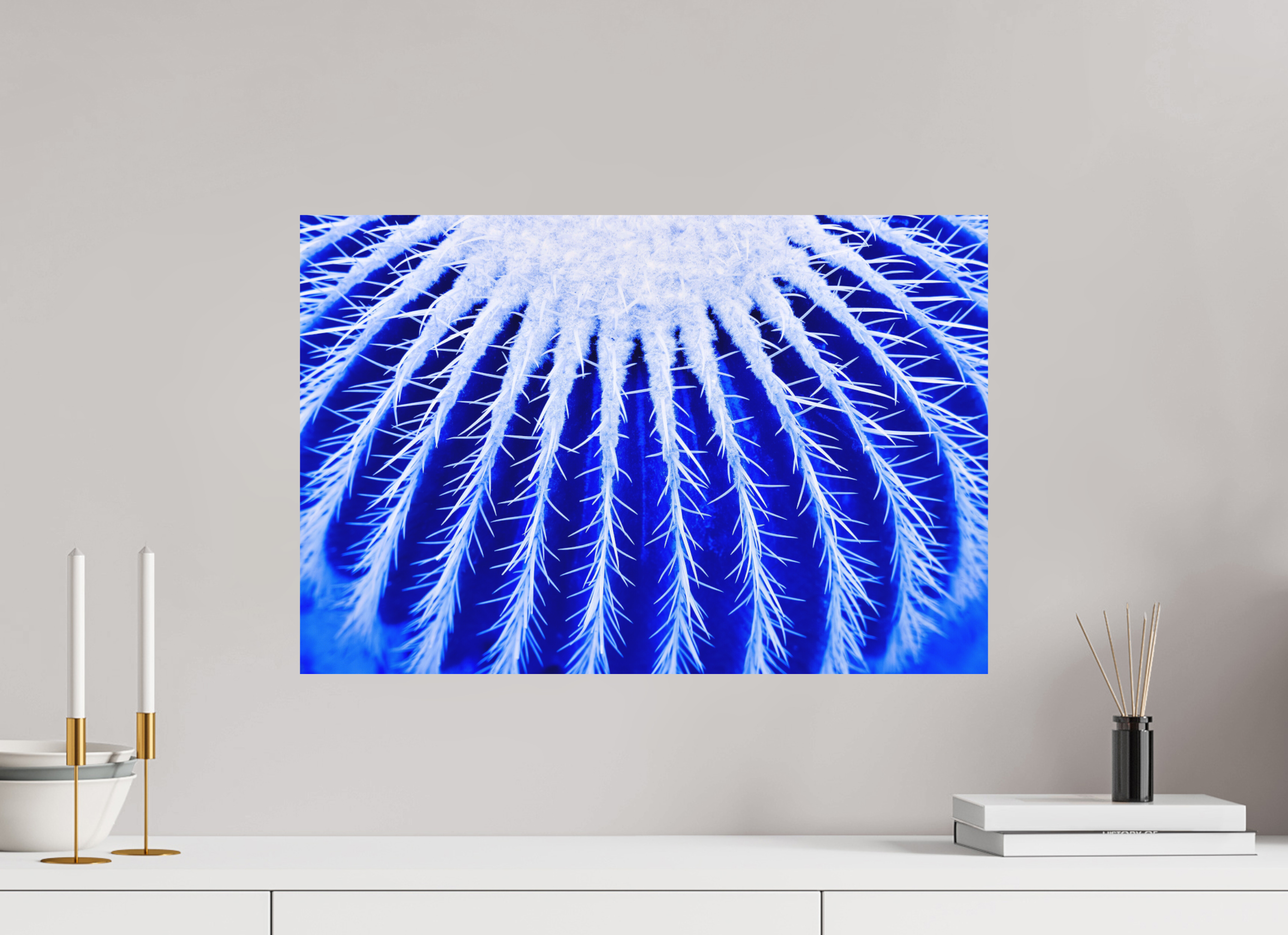 60 x 40 cm, Foto auf Forex, mit Aufhängung Ice Kaktus