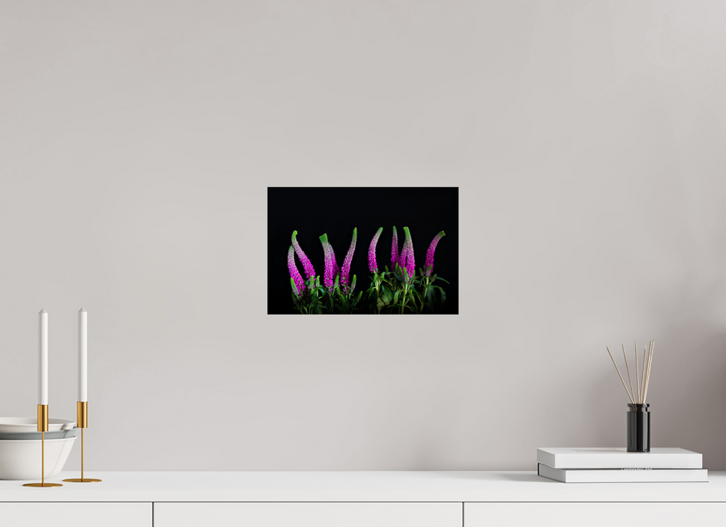 30 x 20 cm, Druck auf Hahnemühle FineArt Baryta Papier ohne Rahmen Pink Worm Parade - Fine Art
